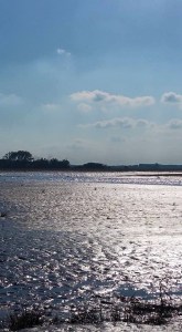 10407902_10152804689037035_6703364754926618166_n