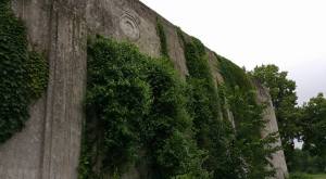 11665687_10152869862762035_7393019342610639299_n