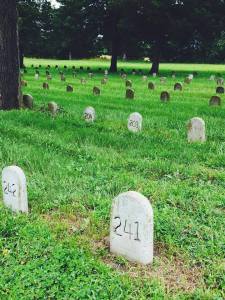 11667427_10152869857382035_4644211741100903781_n