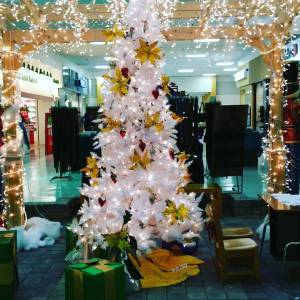 12375307_10153135140067035_344606078367329524_o