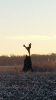 12562467_10153430811502992_1286719168_o