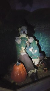 11423844_10152808063537035_5488339561783989443_n